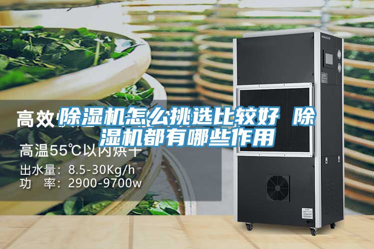 榴莲视频官网APP怎麽挑選比較好 榴莲视频官网APP都有哪些作用