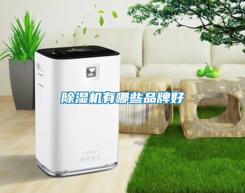 榴莲视频官网APP有哪些品牌好