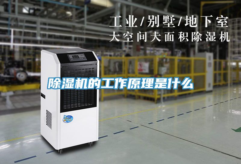 榴莲视频官网APP的工作原理是什麽