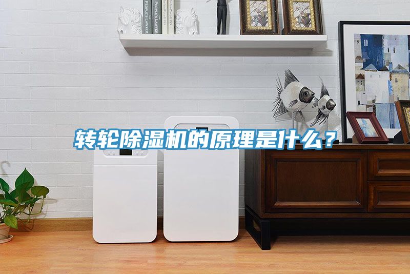 轉輪榴莲视频官网APP的原理是什麽？
