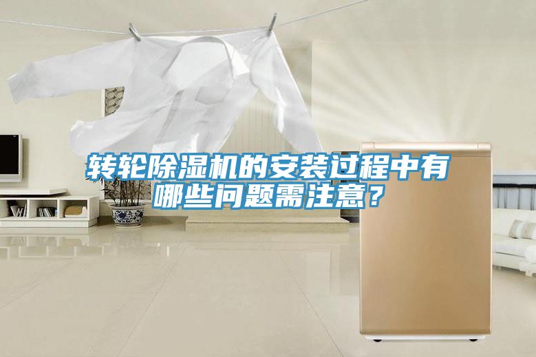 轉輪榴莲视频官网APP的安裝過程中有哪些問題需注意？