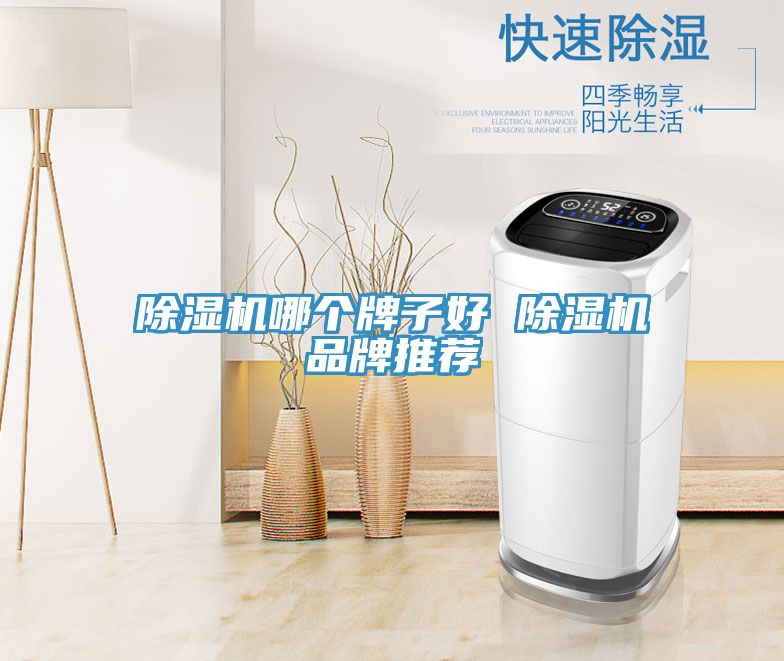 榴莲视频官网APP哪個牌子好 榴莲视频官网APP品牌推薦
