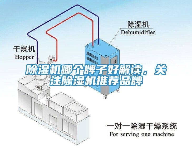 榴莲视频官网APP哪個牌子好解讀，關注榴莲视频官网APP推薦品牌