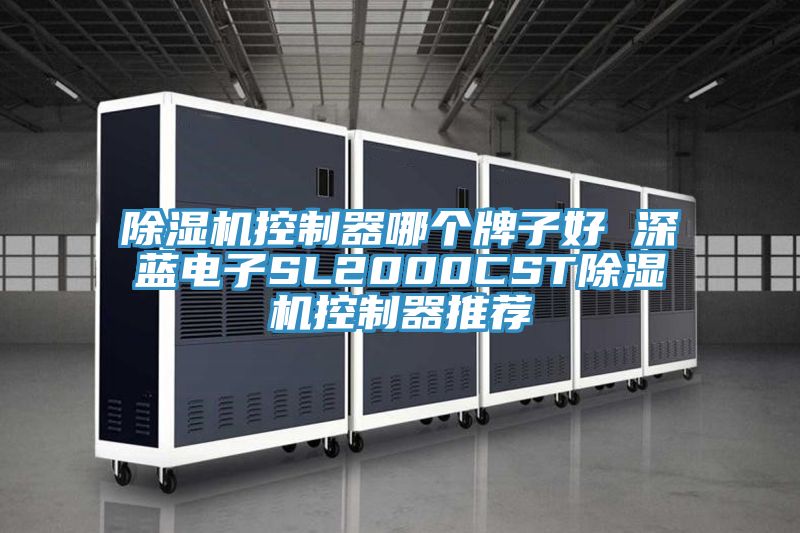 榴莲视频官网APP控製器哪個牌子好 深藍電子SL2000CST榴莲视频官网APP控製器推薦