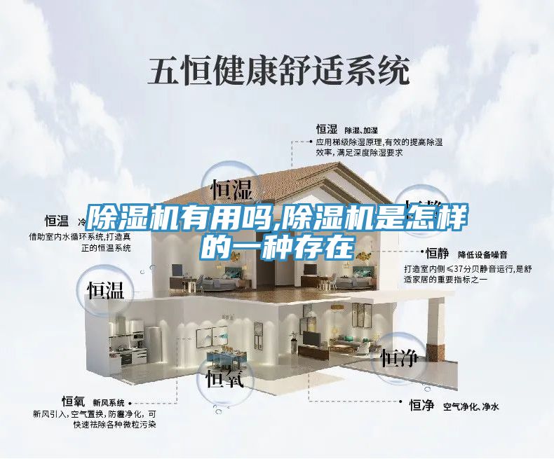 榴莲视频官网APP有用嗎,榴莲视频官网APP是怎樣的一種存在