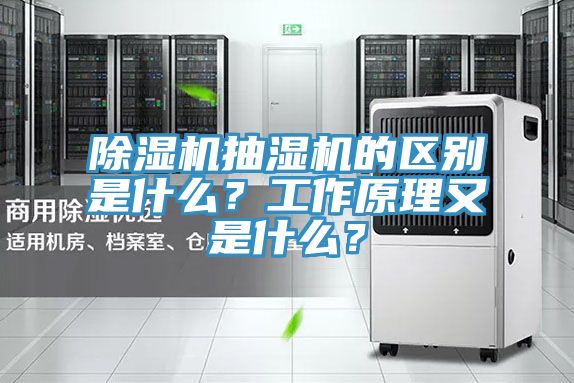 榴莲视频官网APP抽濕機的區別是什麽？工作原理又是什麽？