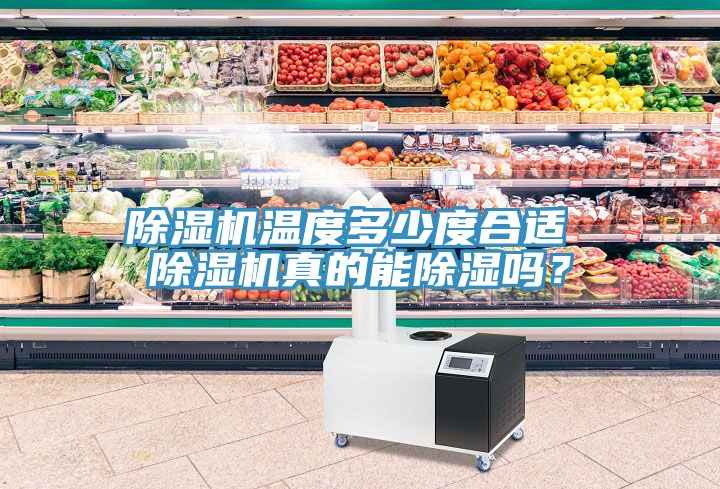 榴莲视频官网APP溫度多少度合適 榴莲视频官网APP真的能除濕嗎？