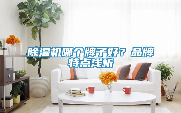 榴莲视频官网APP哪個牌子好？品牌特點淺析