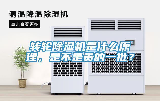 轉輪榴莲视频官网APP是什麽原理，是不是貴的一批？