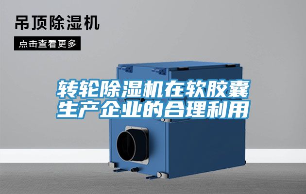 轉輪榴莲视频官网APP在軟膠囊生產企業的合理利用