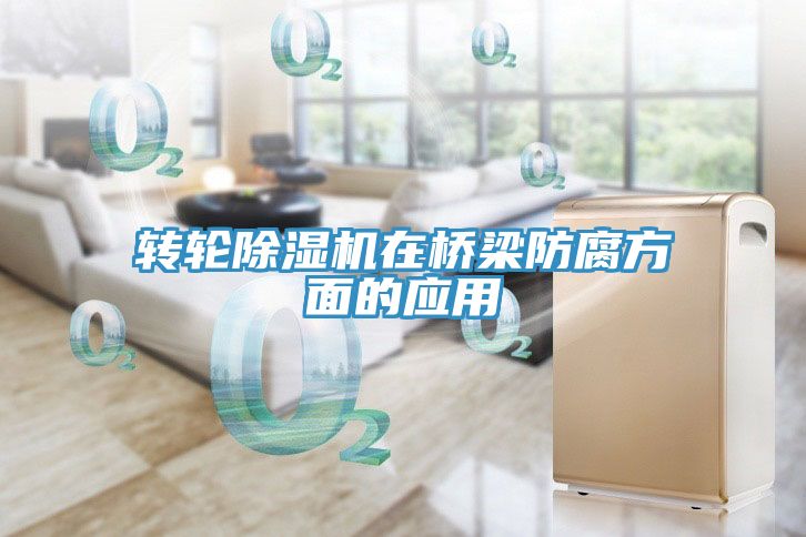 轉輪榴莲视频官网APP在橋梁防腐方麵的應用