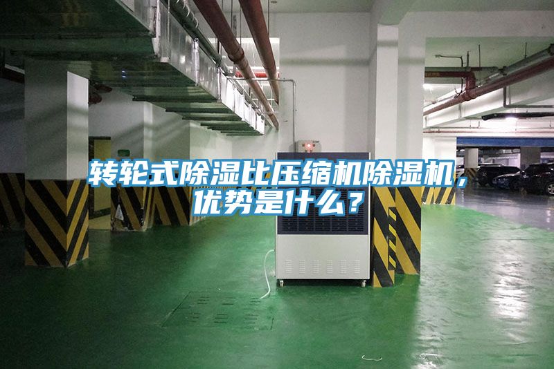 轉輪式除濕比壓縮機榴莲视频官网APP，優勢是什麽？