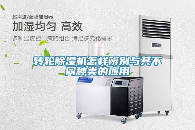 轉輪榴莲视频官网APP怎樣辨別與其不同種類的應用