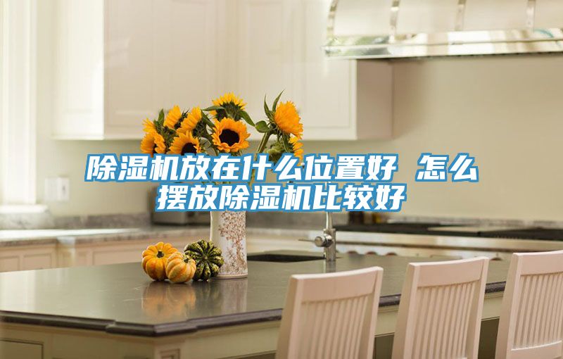榴莲视频官网APP放在什麽位置好 怎麽擺放榴莲视频官网APP比較好
