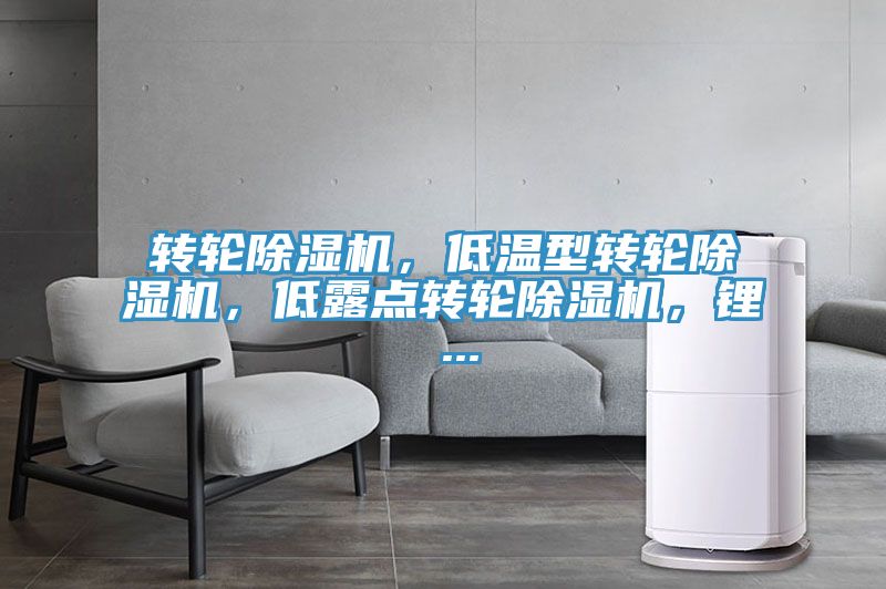 轉輪榴莲视频官网APP，低溫型轉輪榴莲视频官网APP，低露點轉輪榴莲视频官网APP，鋰 ...