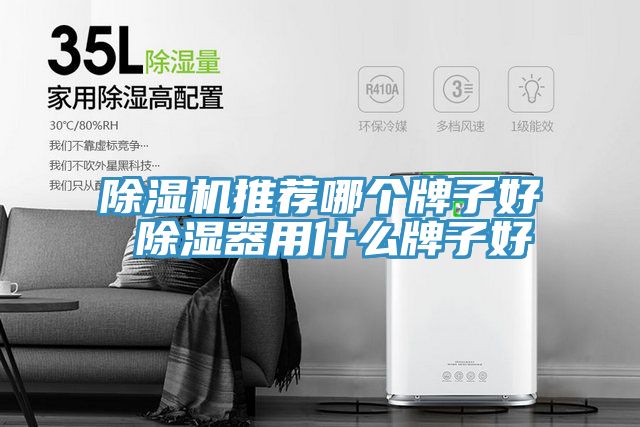 榴莲视频官网APP推薦哪個牌子好 除濕器用什麽牌子好