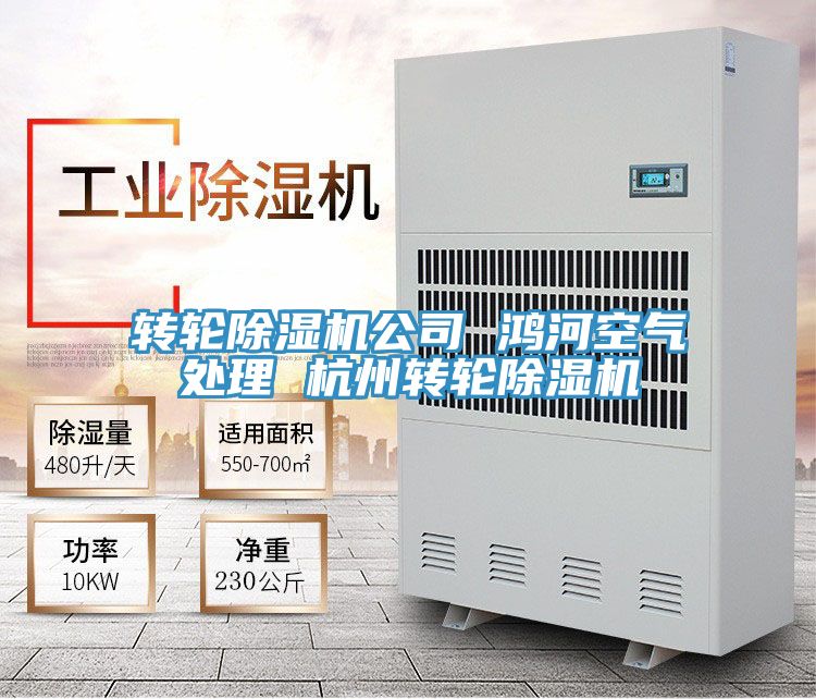 轉輪榴莲视频官网APP公司 鴻河空氣處理 杭州轉輪榴莲视频官网APP