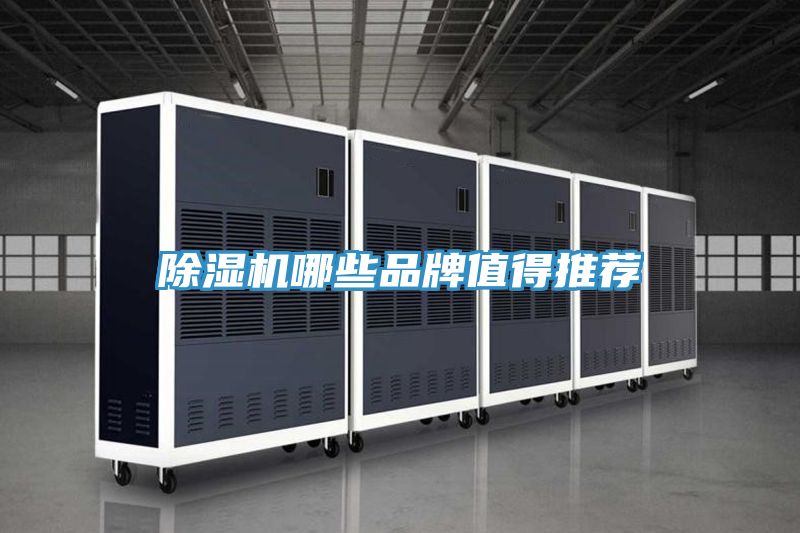 榴莲视频官网APP哪些品牌值得推薦