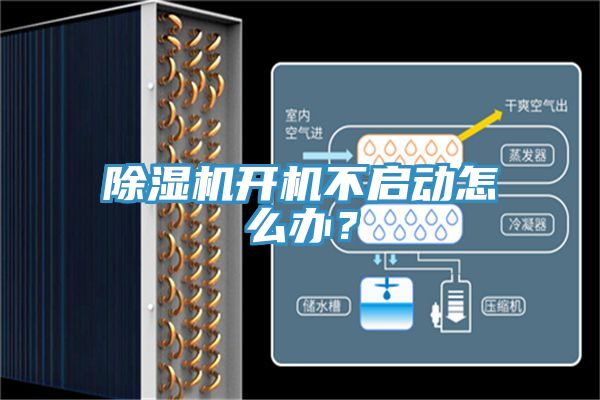 榴莲视频官网APP開機不啟動怎麽辦？