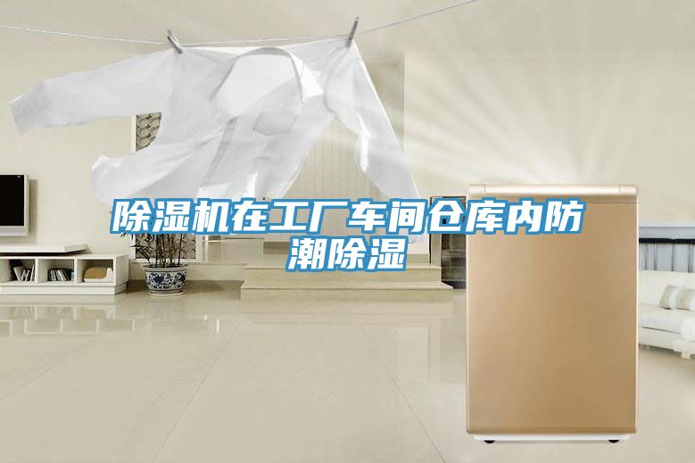 榴莲视频官网APP在工廠車間倉庫內防潮除濕