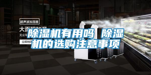 榴莲视频官网APP有用嗎 榴莲视频官网APP的選購注意事項