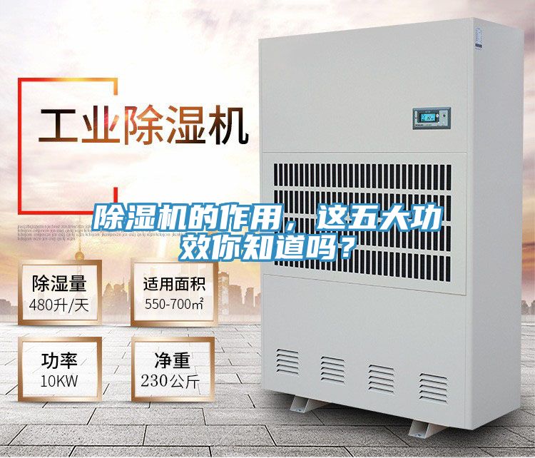 榴莲视频官网APP的作用，這五大功效你知道嗎？