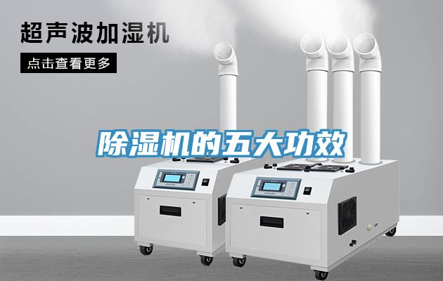 榴莲视频官网APP的五大功效